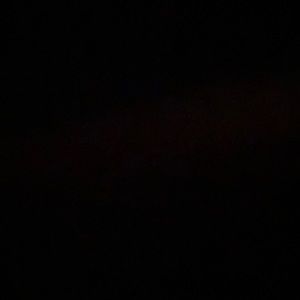 Meet your Posher, Ella